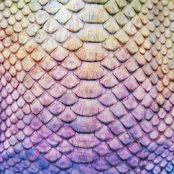 Celine cabas leather python snake skin tote XL phantom blue pink purple rainbow - Picture 5 of 15